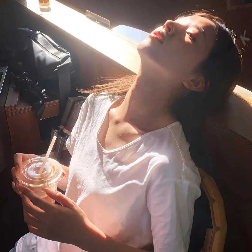 事物的摆动封面