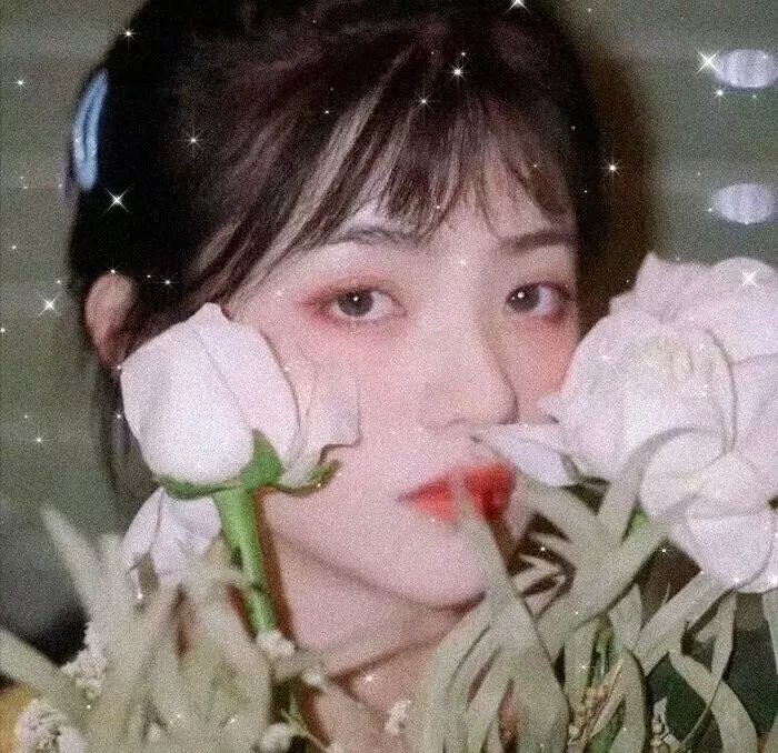 我的新野蛮女友封面